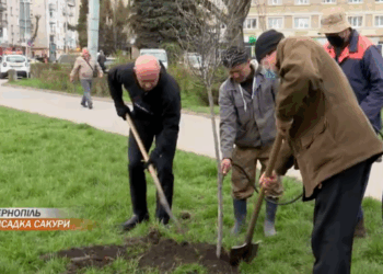 Біля пам’ятника Данилу Галицькому у Тернополі цвістиме новий сорт сакури