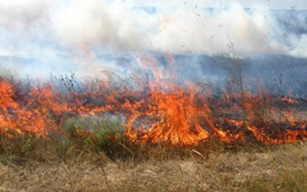 Антистатистика: на Тернопільщині щодня фіксують пожежі у екосистемах