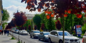 У Тернополі висадили червонолисті клени