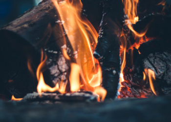 На Тернопільщині діє заборона на спалювати листя та інших сухостоїв