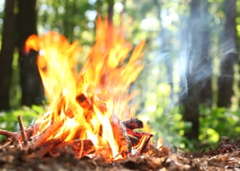 На Тернопільщині оголошено пожежна небезпека найвищого класу