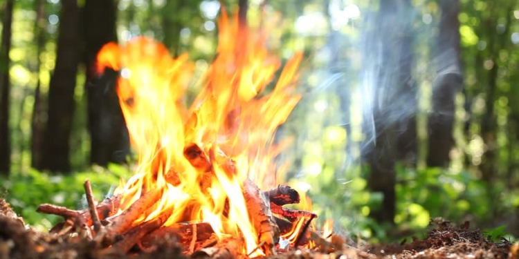 На Тернопільщині оголошено пожежна небезпека найвищого класу