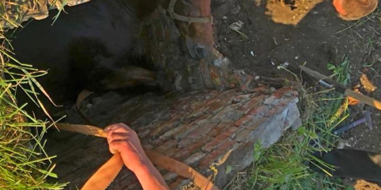 На Тернопільщині визволили коня із колодязя