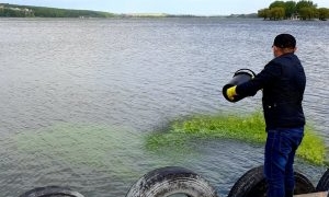 У Тернополі для очищення озера використовують найсучасніші методи