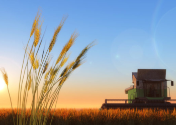 Вирішив зекономити: на Тернопільщині орендар не сплачував плати за землю