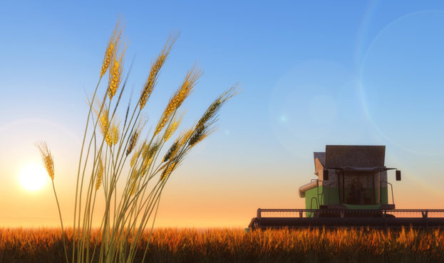 Вирішив зекономити: на Тернопільщині орендар не сплачував плати за землю