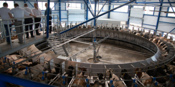 «Бучачагрохлібпром» споруджує на Тернопільщині корівники та доїльні комплекси