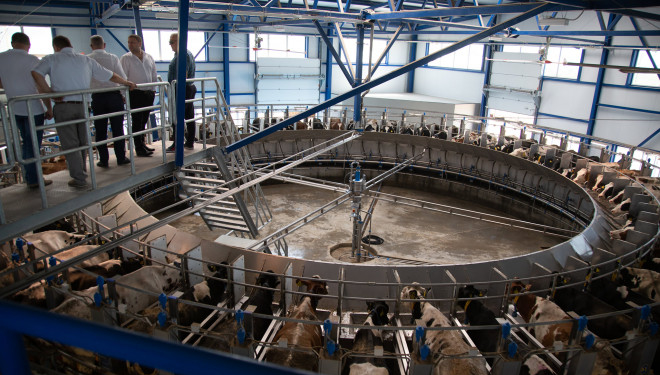 «Бучачагрохлібпром» споруджує на Тернопільщині корівники та доїльні комплекси