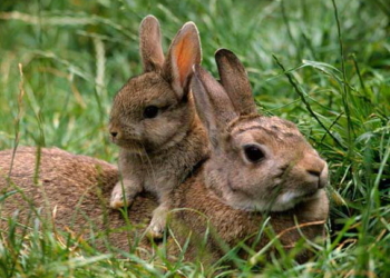 На Тернопільщині завершується “сезон тиші”