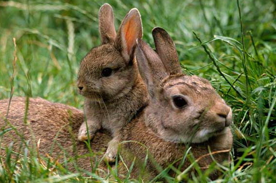 На Тернопільщині завершується “сезон тиші”
