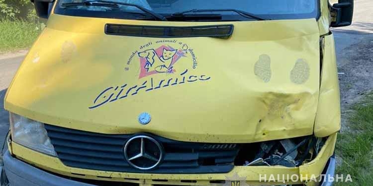 На Тернопільщині у ДТП загинув 13-річний хлопець