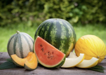 Кавуни та дині: які ціни на тернопільському ринку і чи безпечно їсти перший врожай