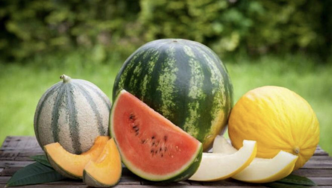 Кавуни та дині: які ціни на тернопільському ринку і чи безпечно їсти перший врожай