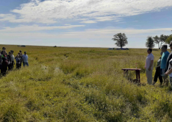 На Тернопільщині відбулися змагання юних авіа-винахідників