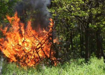 На Тернопільщині оголошено пожежонебезпечний період