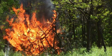 На Тернопільщині оголошено пожежонебезпечний період