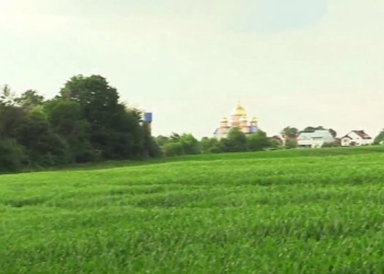 Душить та висмоктує кров: на Тернопільщині жителі селища нажахані появою невідомої істоти (Відео)