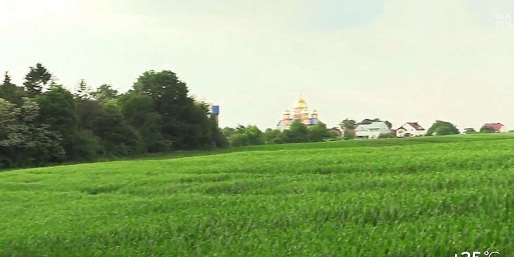 Душить та висмоктує кров: на Тернопільщині жителі селища нажахані появою невідомої істоти (Відео)