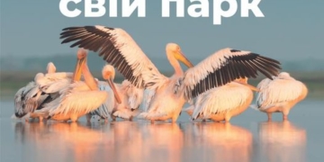 Туристичні цікавинки Тернопілля зібрані у одному інтернет-ресурсі