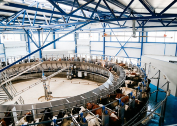 Морозиво популярної торгової марки виготовляють з молока корів «Бучачагрохлібпрому» (фото)