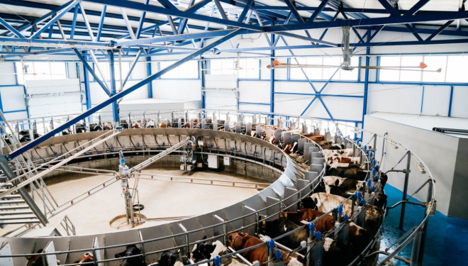 Морозиво популярної торгової марки виготовляють з молока корів «Бучачагрохлібпрому» (фото)