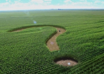 На Тернопільщині повернули землю громаді