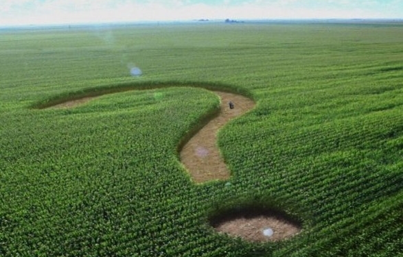 На Тернопільщині повернули землю громаді