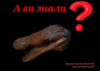 У Тернополі запровадили нову можливість – безкоштовний музей