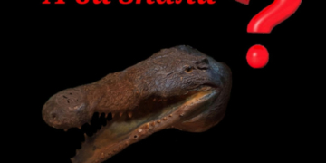 У Тернополі запровадили нову можливість – безкоштовний музей