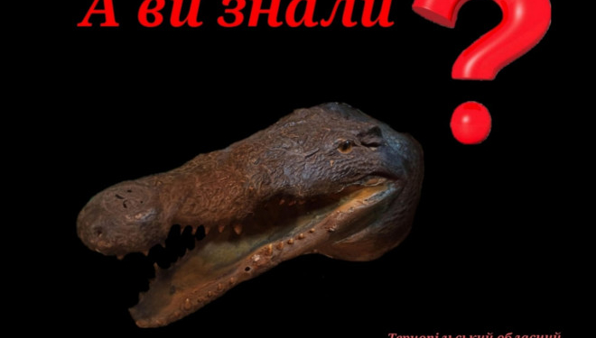 У Тернополі запровадили нову можливість – безкоштовний музей