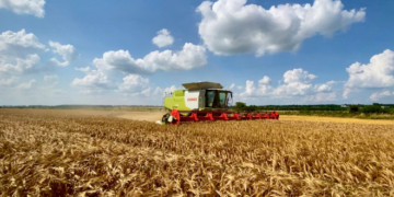У «Контінентал Фармерз Груп» розпочалися жнива
