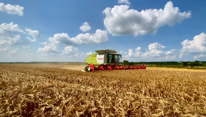 У «Контінентал Фармерз Груп» розпочалися жнива