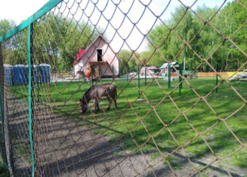У зоокутку в парку «Топільче» з’являться 20 нових птахів