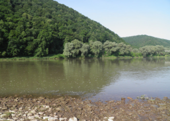 Тернопільські студенти підтримали екоініціативу “Чистий берег”