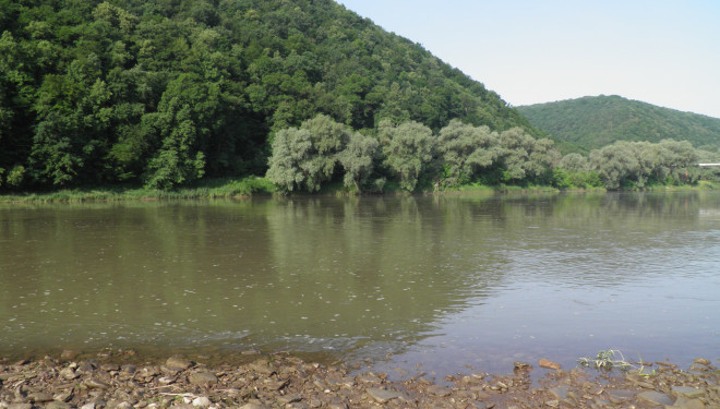 Тернопільські студенти підтримали екоініціативу “Чистий берег”