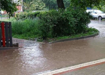 Негода у громаді на Тернопільщині: через грозу дорогами текли ріки і повалило дерева (Відео)