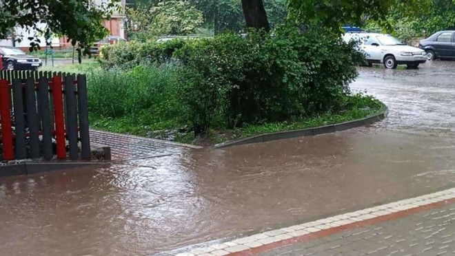 Негода у громаді на Тернопільщині: через грозу дорогами текли ріки і повалило дерева (Відео)