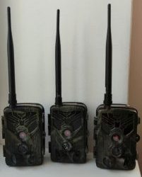 У Тернополі працюють «фотопастки»