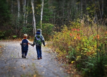 На Тернопільщині правоохоронці врятували майже сотню дітей