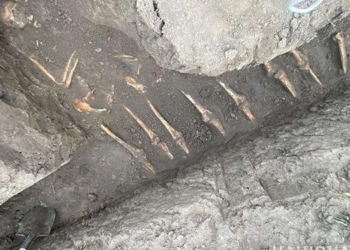 Біля Тернополя знайшли давнє поховання (Відео)