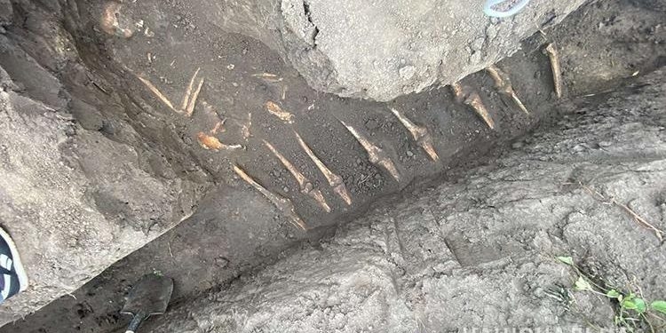 Біля Тернополя знайшли давнє поховання (Відео)