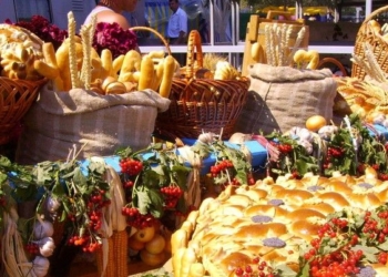 Ветерани Тернопільщини можуть взяти участь у фестивалі «Пульс Гідності»