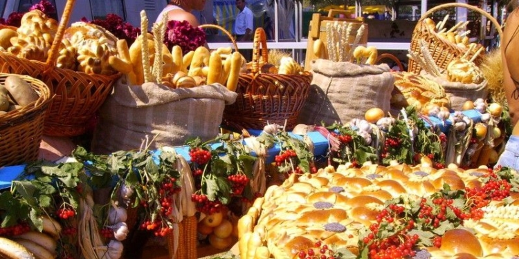 Ветерани Тернопільщини можуть взяти участь у фестивалі «Пульс Гідності»