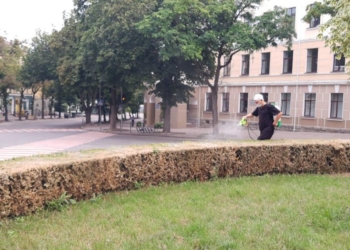 У Тернополі кущі обробляли від шкідників