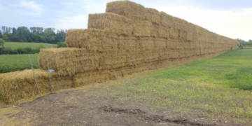 На Тернопільщині встановлять ще один патріотичний Національний рекорд України