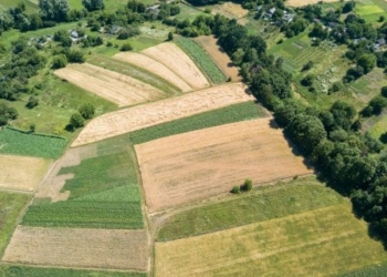 На Тернопільщині чиновниця незаконно виділила землю своїм родичам