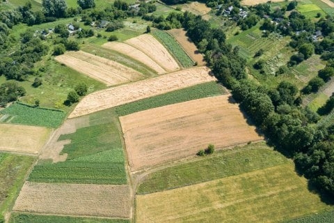 На Тернопільщині чиновниця незаконно виділила землю своїм родичам