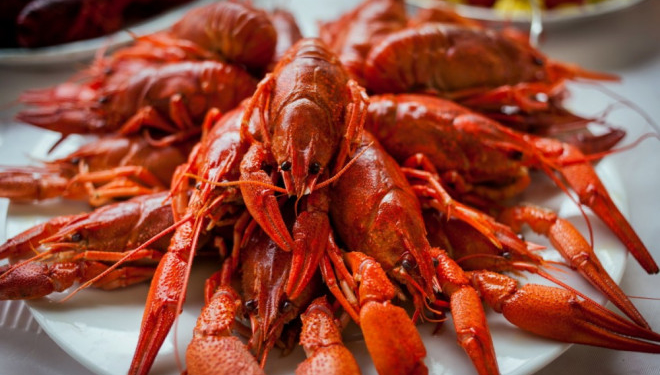 В Тернопільський області обмежили вилов членистоногих (Відео)