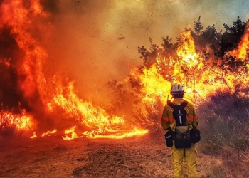 Попередити краще ніж ліквідувати: рятувальники Тернопільщини провели спецнавчання із недопущення лісових пожеж