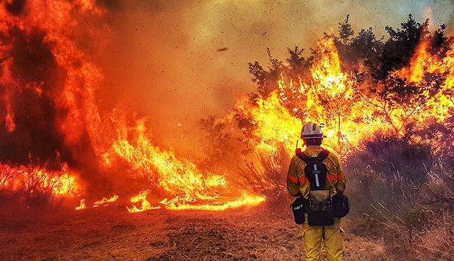 Попередити краще ніж ліквідувати: рятувальники Тернопільщини провели спецнавчання із недопущення лісових пожеж